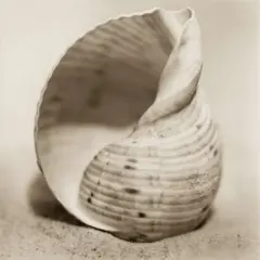 La Playa No4 Poster Print by Alan Blaustein - Item # VARPDXB1229D