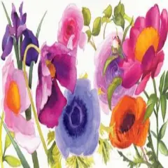 Some Favorites Poster Print by Shirley Novak - Item # VARPDX14789