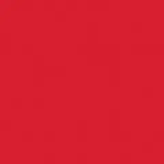 Coats Coil Separating Zipper 14"