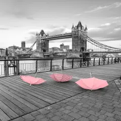 Pink umbrellas, Tower bridge, London Poster Print by Assaf Frank - Item # VARPDXAF20150627057C01P1