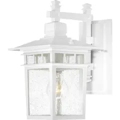 Cove Neck 1-Light Wall Lantern Outdoor Light Fixture in White Finish