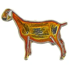 Nubian Goat Pin 1"