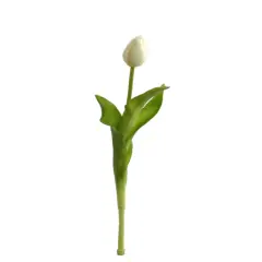 Exquisite Set of 24 Cream Real Touch Tulip Buds, 17" - Lifelike Floral Accents for Home Decor and Arrangements