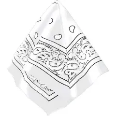 Paisley Pattern Cowboy Western White Bandana 20"x20" Party Accessory