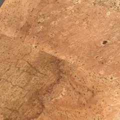 Natural Cork
