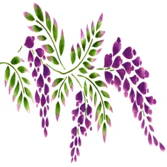 Wisteria Wall Stencil