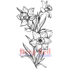Deep Red Stamps Daffodils Rubber Cling Stamp2.25 x 4.1inches