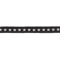 10 Yards of Danica 3/4" Wide Silver Star Sudded Tape Trim | 10 yard cut