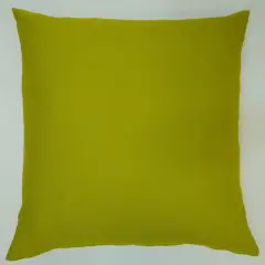 Parakeet Green Pillow