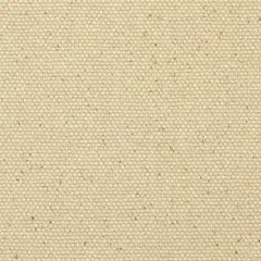 Blick Unprimed Cotton Canvas - Heavyweight Medium-Rough Texture, 60" x 2 yds