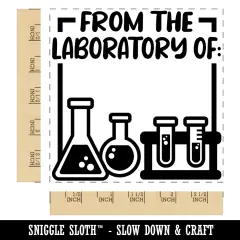 From the Laboratory of Science Scientist Chemistry Square Rubber Stamp for Stamping Crafting