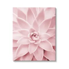 Stupell Industries Pastel Pink Succulent Canvas Wall Art