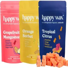 Spa Mix Premium Scented Natural, Non Toxic Soy Wax Melts &ndash; 6 Total Oz. of Scented Wax Melts. Includes: Seagrass & Sage, Calming Lavender Chamomile, and Eucalyptus Spearmint Citrus Mix