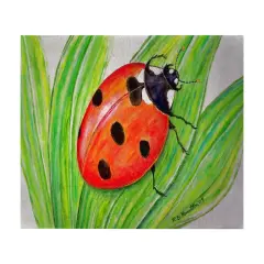 Betsy Drake Lady Bug 30 X 50 Inch Comfort Floor Mat