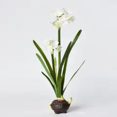 17.5" Faux Paperwhites w/ Bulb