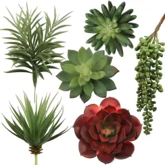 Six Pack Succulent Set, 6 Individual Picks, Natural Sized Artificial Plants, Aloe, Hanging Pearl for Arrangements, Pots, and School Projects, Floral Home by Artificial Flowers