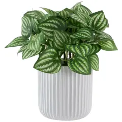 Northlight Artificial Watermelon Peperomia Plant in Pot - 6.5" Green