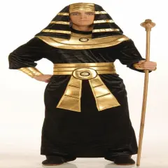 Egyptian Pharaoh Costume Adult