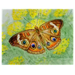 Betsy Drake Buckeye Butterfly Place Mat Set of 4