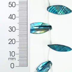 6 Packs of Tinted Shell Leaf Blue 2x8" Strand