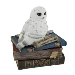 Wise Snow Owl Resting on Scholar`s Books Trinket Box