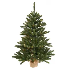 Vickerman 24" Anoka Pine Artificial Christmas Tree - 35 Warm White LED Lights Green