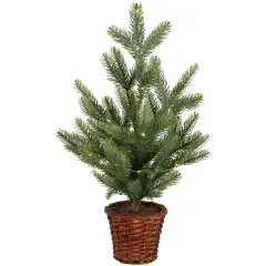 Northlight Pre-Lit Artificial Pine Christmas Tree with Basket Base - 20" - Warm White LED Lights Green