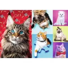 Trefl Happy Cats Jigsaw Puzzle Multi