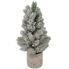 Northlight 16" LED Lighted Mini Frosted Pine Christmas Tree in Cement Base Green