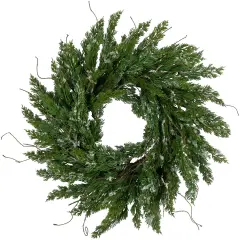 Northlight Real Touch&trade;️ Iced Cedar Artificial Christmas Wreath- 24" - Unlit Green
