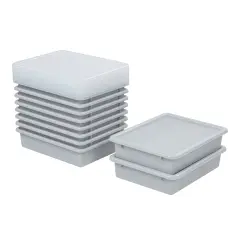 Letter Size Tray with Lid, Storage Bin, 10-Piece Light Grey