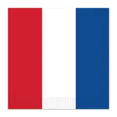 Red, White & Blue Luncheon Napkins (Pack of 12)