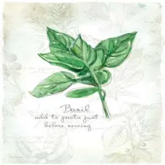 Fresh Basil Poster Print byCarol Robinson - Item # VARPDX17352