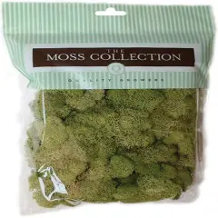 Quality Growers Preserved Reindeer Moss 108.5 Cubic Inches-Spring Green