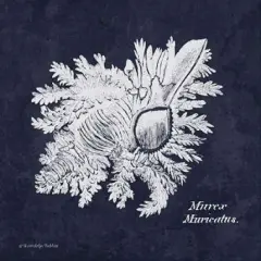 Indigo Shell I Poster Print by Gwendolyn Babbitt - Item # VARPDXBAB289