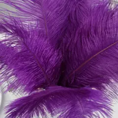12 pcs 13"-15" long Genuine Ostrich Feathers Purple