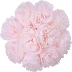 10Heads Artificial Peony Silk Flowers for Home, Wedding, and Party Decor Light pink