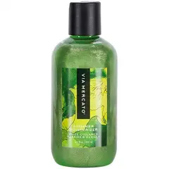 DII Balsam Border Stripe Tablecloth 52x52 inches