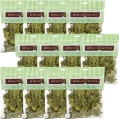 Multipack of 12 - Quality Growers Preserved Reindeer Moss 108.5 Cubic Inches-Spring Green