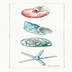 Sea Finds IV Poster Print by Lisa Audit - Item # VARPDX16815