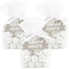 Big Dot of Happiness World Awaits - Travel Themed Party Clear Goodie Favor Bags - Treat Bags With Tags - Set of 12