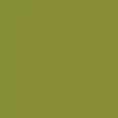 Jacquard Procion MX Dye 19g