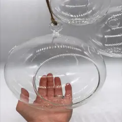 Hanging Glass Globe
