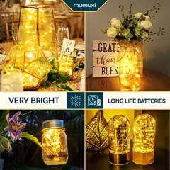 20 Pack LED Fairy Lights Battery Operated String Lights 3.3ft 20 Mini Fairy Lights Battery Powered Party Wedding Centerpiece Decorations Crafts Mason Jar Lights Firefly Lights, Warm White
