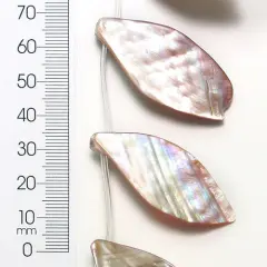 6 Packs of Tinted Shell Leaf Natural 2x8" Strand