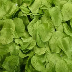 Kitcheniva Multicolor Silk Rose Petals DIY Craft & Party Decor 1000 Pcs Leaf green