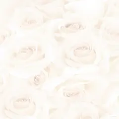 Great Papers! Blush Roses Stationery Letterhead, Invitations and Announcements, Printer Friendly, 8.5"x11", 80 Pack