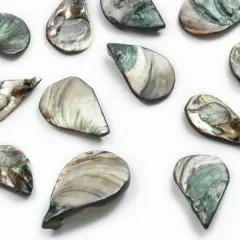 6 Packs of Tinted Shell Fan Slate 2/8" Strand