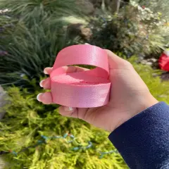 Ballerina pink 1&rdquo; Seatbelt Webbing (by the yard)