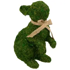 Northlight Standing Moss Easter Rabbit Figurine - 10" Green